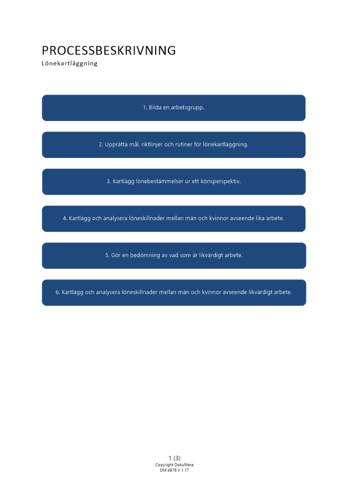 Processbeskrivning - Lönekartläggning 2024