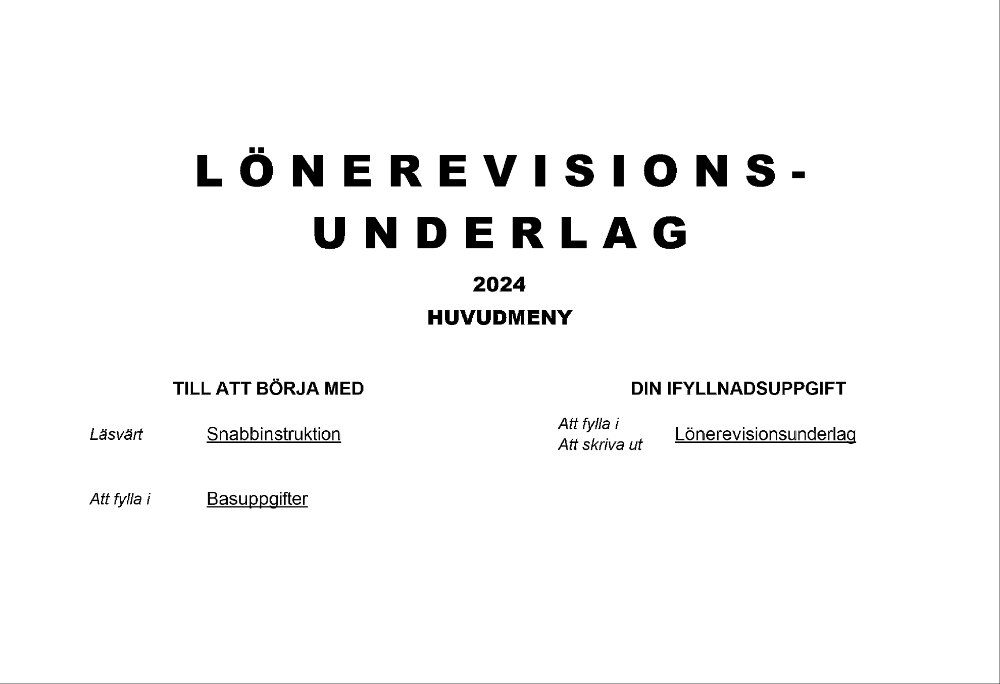 Lönerevisionsunderlag