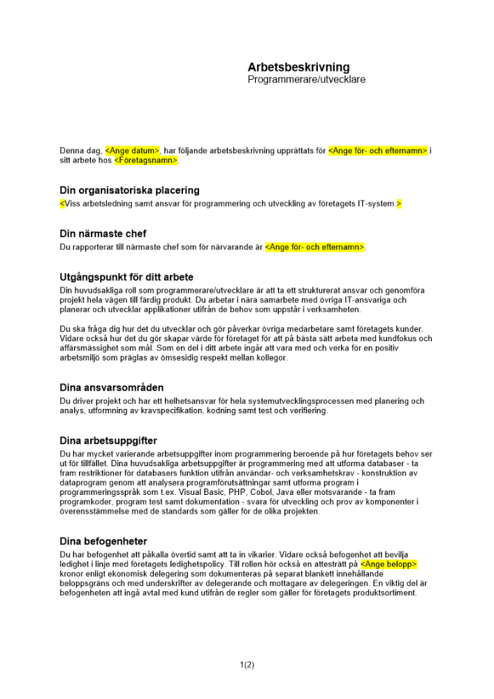 Arbetsbeskrivning programmerare-utvecklare