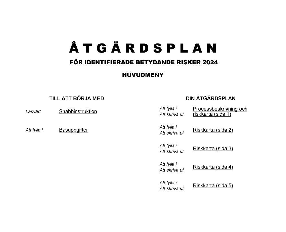 Åtgärdsplan risker