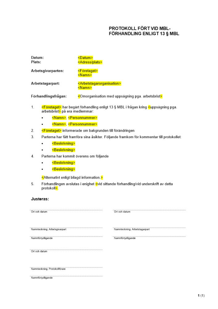 MBL-förhandling 13§ (har ej kollektivavtal) - Protokoll